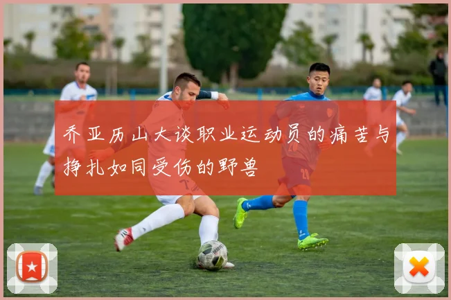 乔亚历山大谈职业运动员的痛苦与挣扎如同受伤的野兽